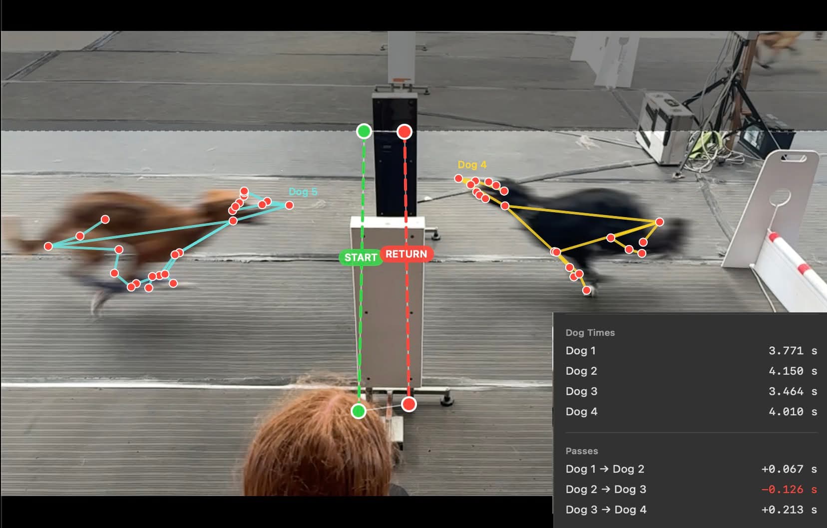 Two dogs passing at the flyball box, each overlaid with a coloured AI-detected pose skeleton. A panel lists per-dog times and pass deltas in milliseconds.
