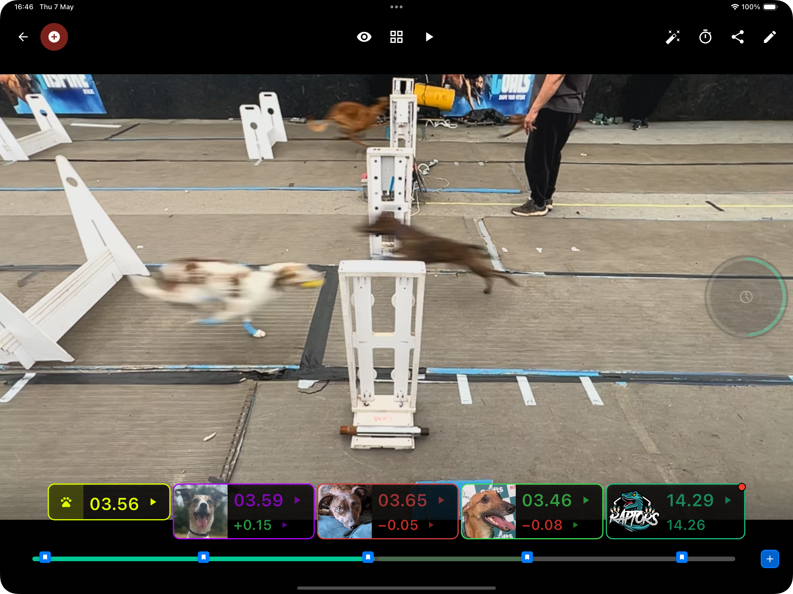Flyball Vision video player with annotated dog timing markers
