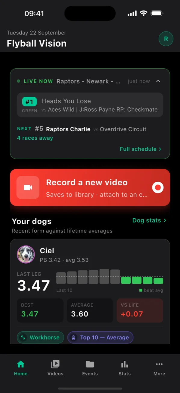 Flyball Vision home screen with the live race schedule, a record button and each dog's recent form
